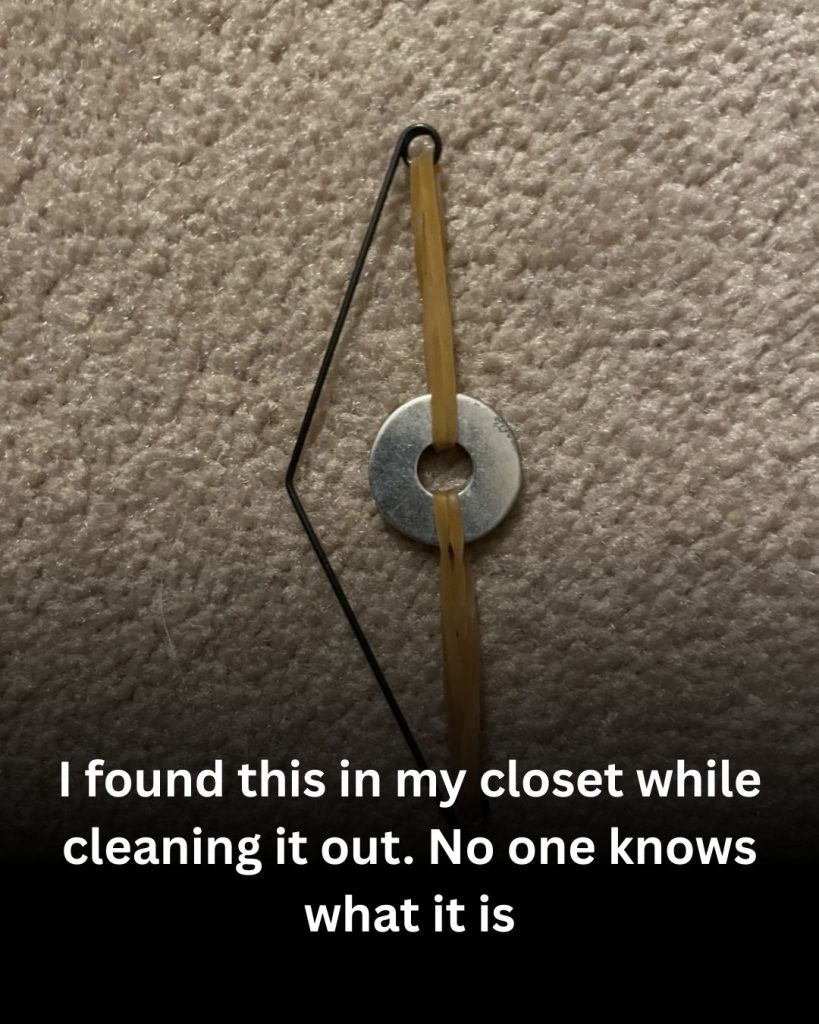 The Oddest Closet Discovery