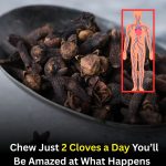 The Surprising Everyday Benefits of Chewing 1-2 Cloves: A Simple Natural Habit Worth Exploring