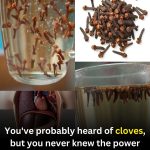 8 Notable Benefits of Clove-Infused Water You Might Not Know