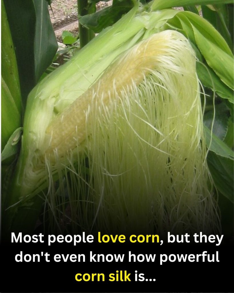 Corn Silk: Traditional Wellness Uses and Simple Ways to Prepare It
