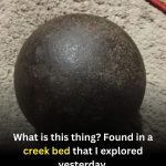 In the Shadow of Iron: Understanding Our Heritage Through Historical Artifacts