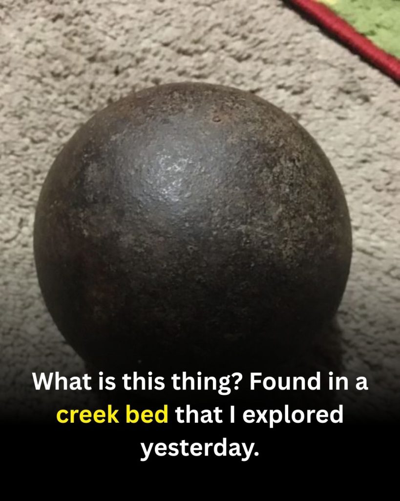 In the Shadow of Iron: Understanding Our Heritage Through Historical Artifacts