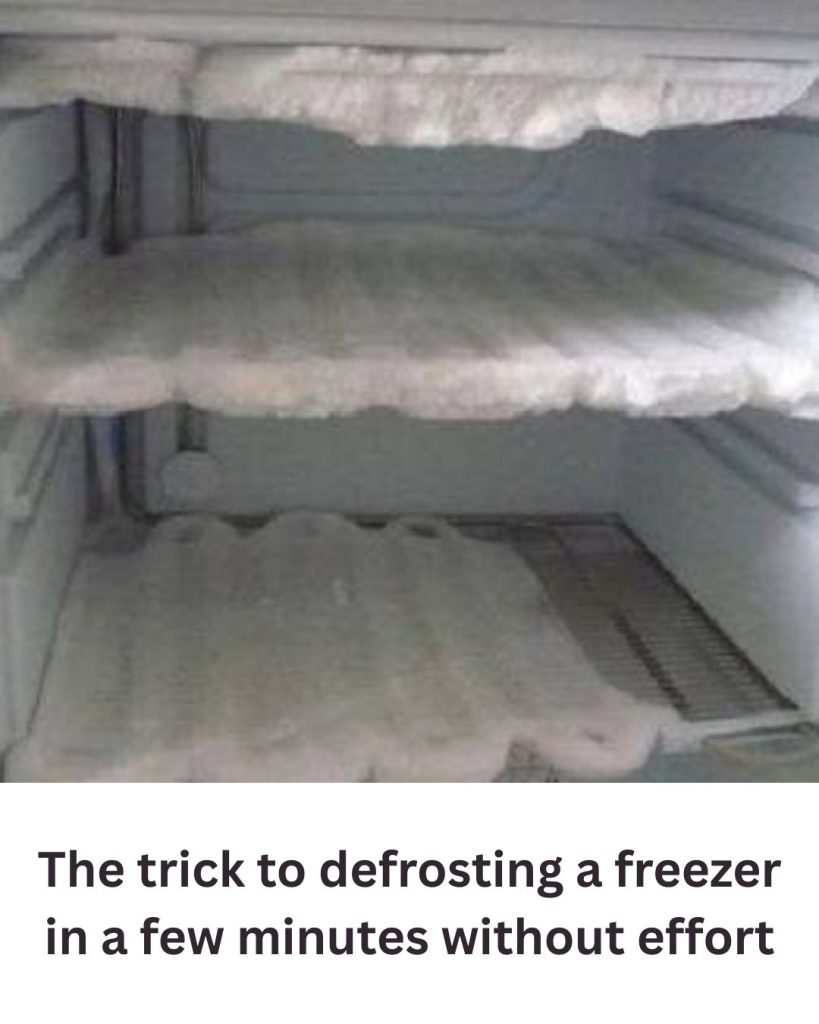 How to Defrost Your Freezer in Minutes — The Easy No-Scrape Method