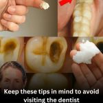 Natural Secrets To Prevent Cavities And Build A Stronger, Brighter Smile For Life