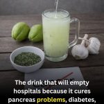 Natural Chayote, Garlic, and Oregano Infusion: A Traditional Remedy for Pancreas Support, Diabetes Balance, and Fatty Liver Health