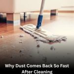 Why Dust Comes Back So Fast After Cleaning