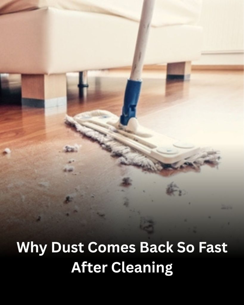 Why Dust Comes Back So Fast After Cleaning