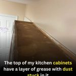 How To Remove Grease And Cooking Odors From Kitchen Cabinets