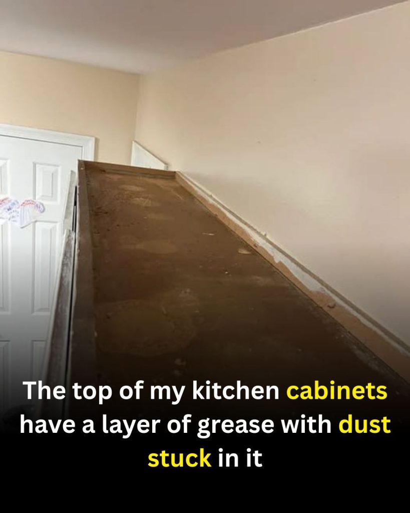 How To Remove Grease And Cooking Odors From Kitchen Cabinets