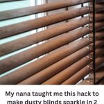 My Nana’s Simple Trick to Make Dusty Blinds Shine in Minutes