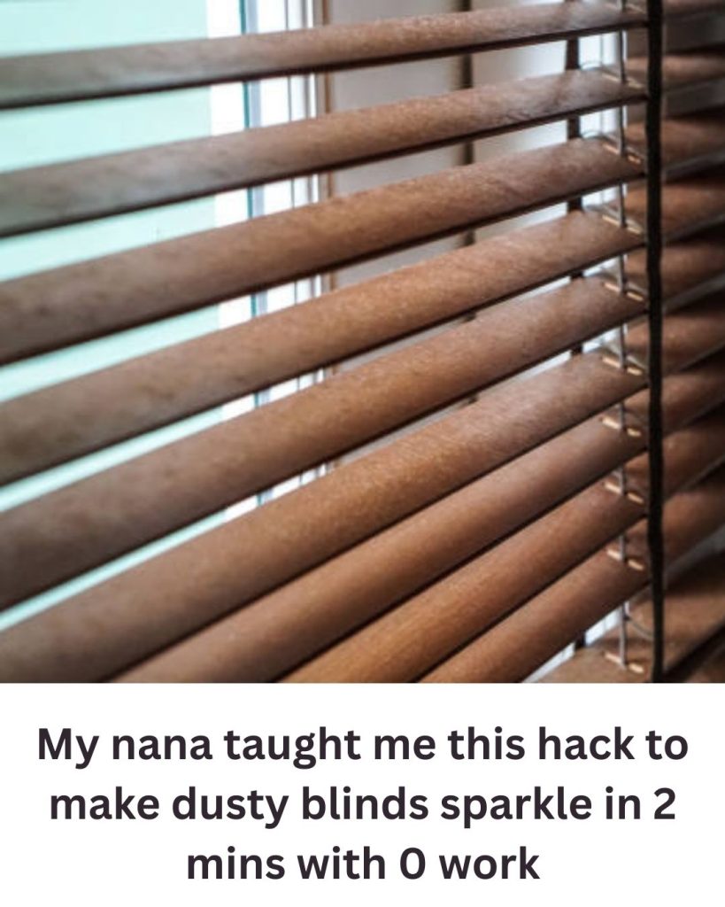 My Nana’s Simple Trick to Make Dusty Blinds Shine in Minutes