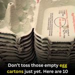 10 Clever and Practical Ways to Reuse Empty Egg Cartons