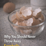 Why You Should Never Throw Away Eggshells