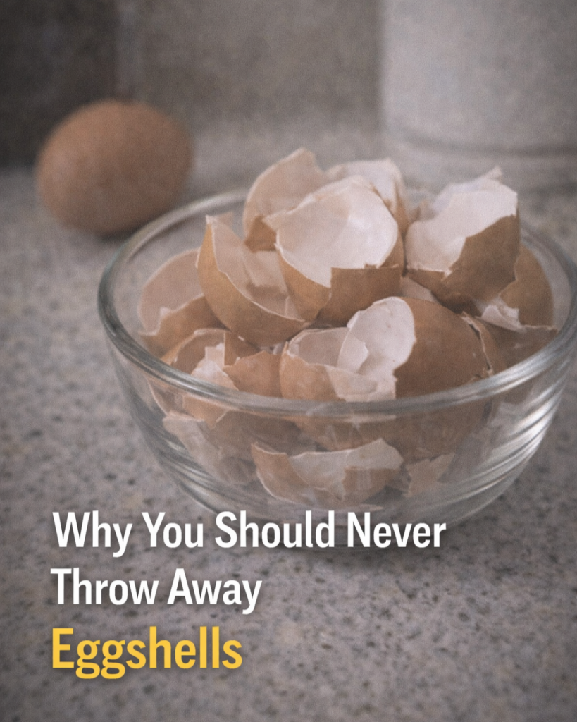 Why You Should Never Throw Away Eggshells