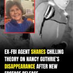 Ex-FBI Official Questions Kidnapping Theory in Nancy Guthrie Case