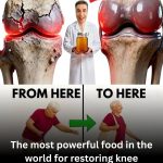 Natural Foods to Support Knee Cartilage Health: Protect Your Joints the Smart Way
