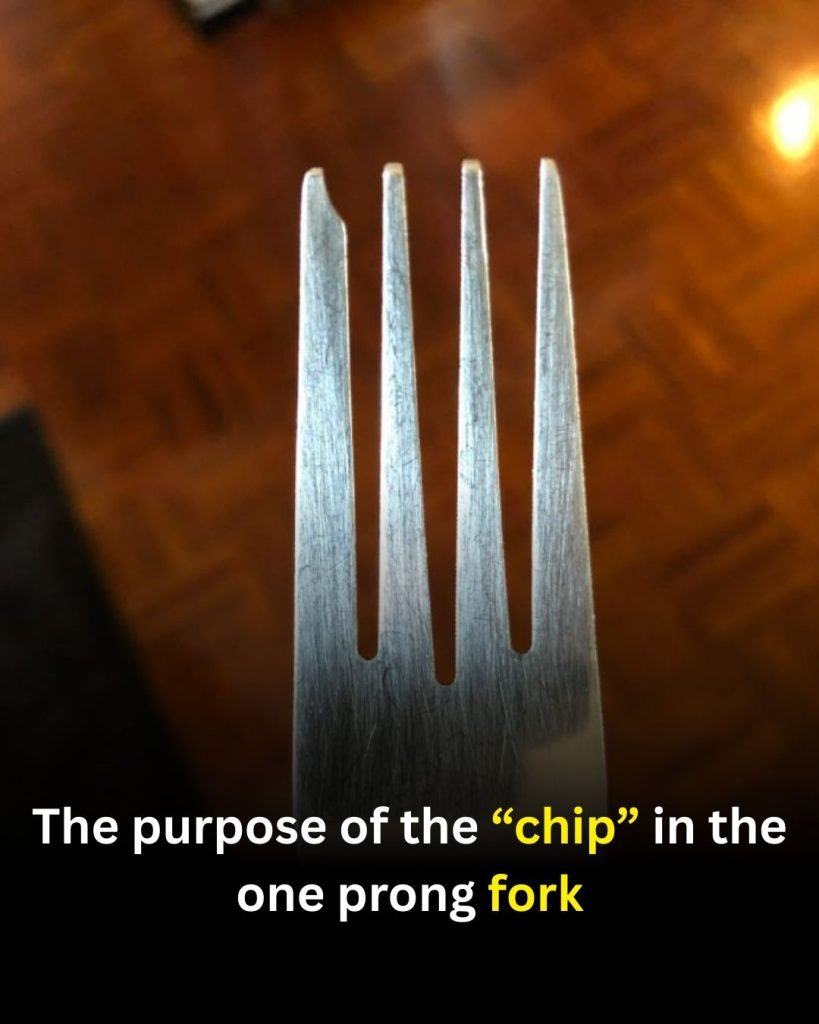 Mystery Solved: The Real Reason Some Forks Have a “Notched” Prong