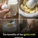 Garlic Milk: An Old-Fashioned Drink Some People Still Swear By