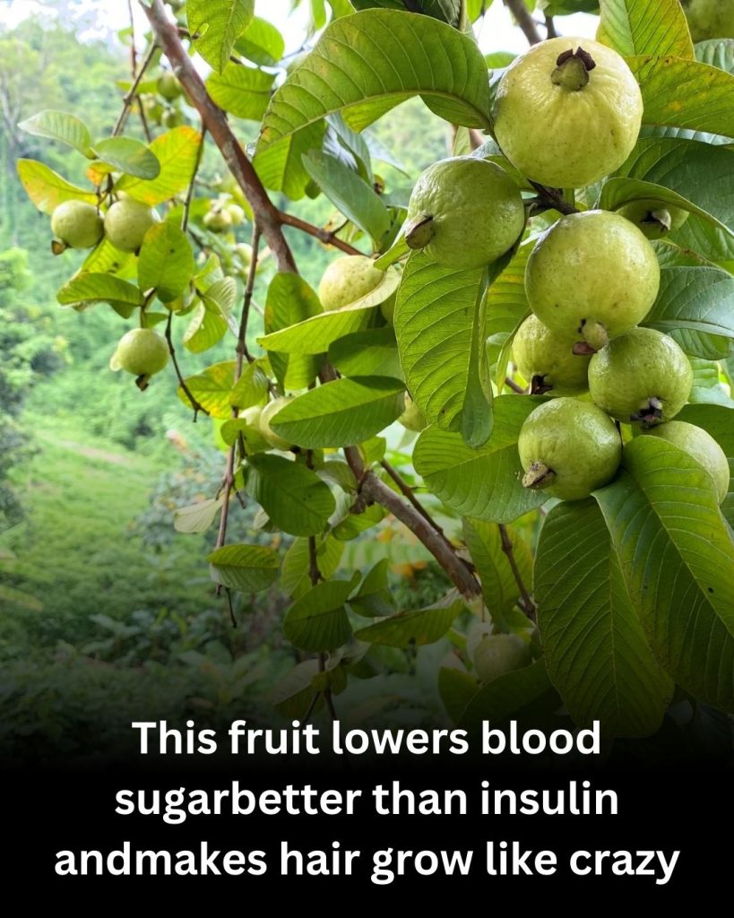 Say Goodbye to High Blood Sugar: Discover the Power of Guava