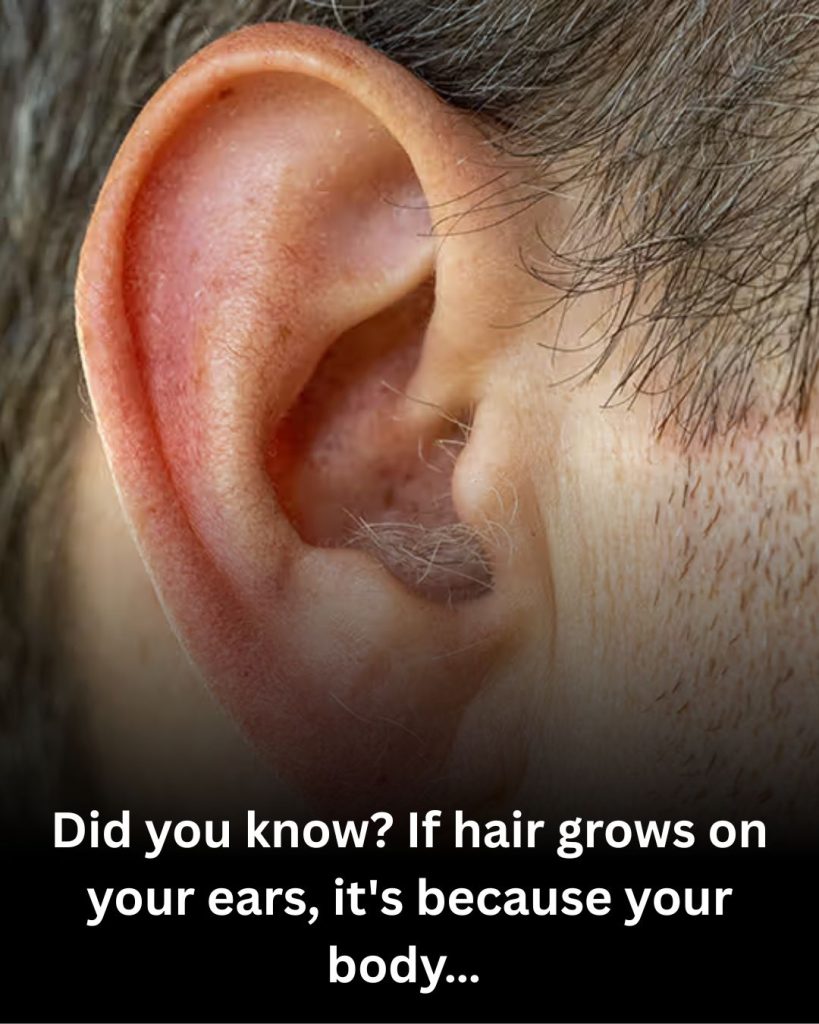 What your ear hair reveals about your health