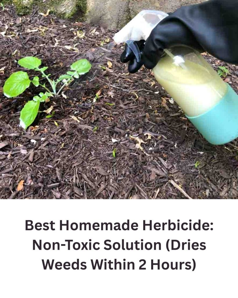 Best Homemade Herbicide: A Simple, Low-Toxicity Option for Small Weeds
