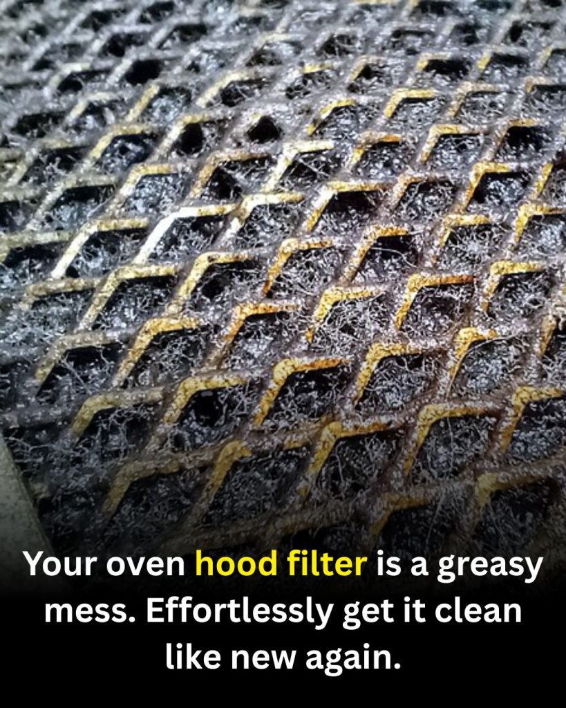 How to Clean a Greasy Oven Hood Filter and Make It Look Fresh Again