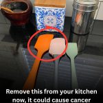 Kitchen utensils and materials that can generate concern and what safer alternatives to consider.