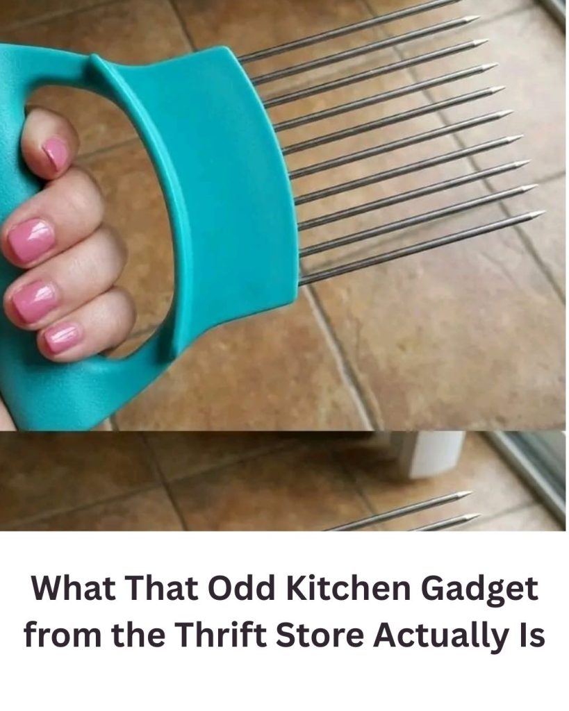 Mystery Solved! What That Odd Kitchen Gadget from the Thrift Store Actually Is