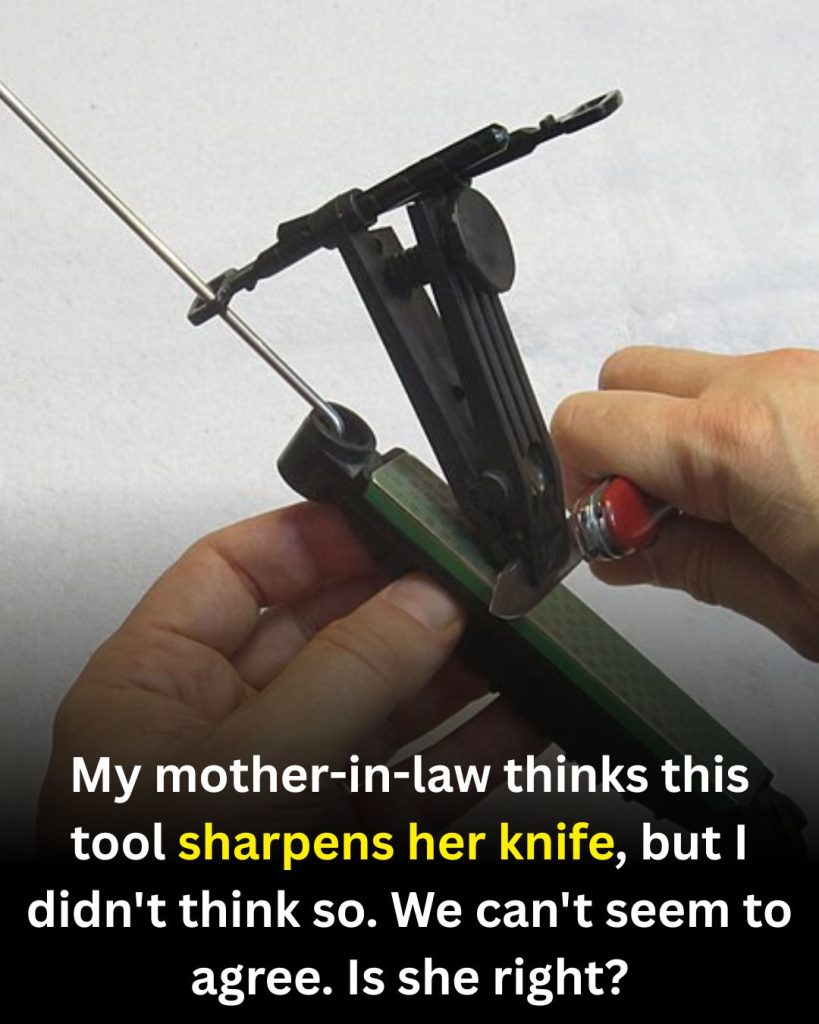 Does This Tool Really Sharpen Knives? Understanding Honing vs. Sharpening