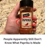 What Is Paprika Made Of? The Truth Behind This Popular Spice 🌶️