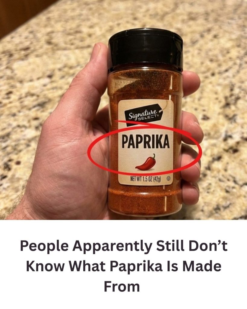 What Is Paprika Made Of? The Truth Behind This Popular Spice 🌶️