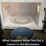 What Happens When You Put a Lemon in the Microwave