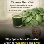 Why Spinach Is a Powerful Green for Digestive and Liver Support