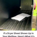 Why Someone Might Put a Dryer Sheet in a Mailbox — and What It Usually Means