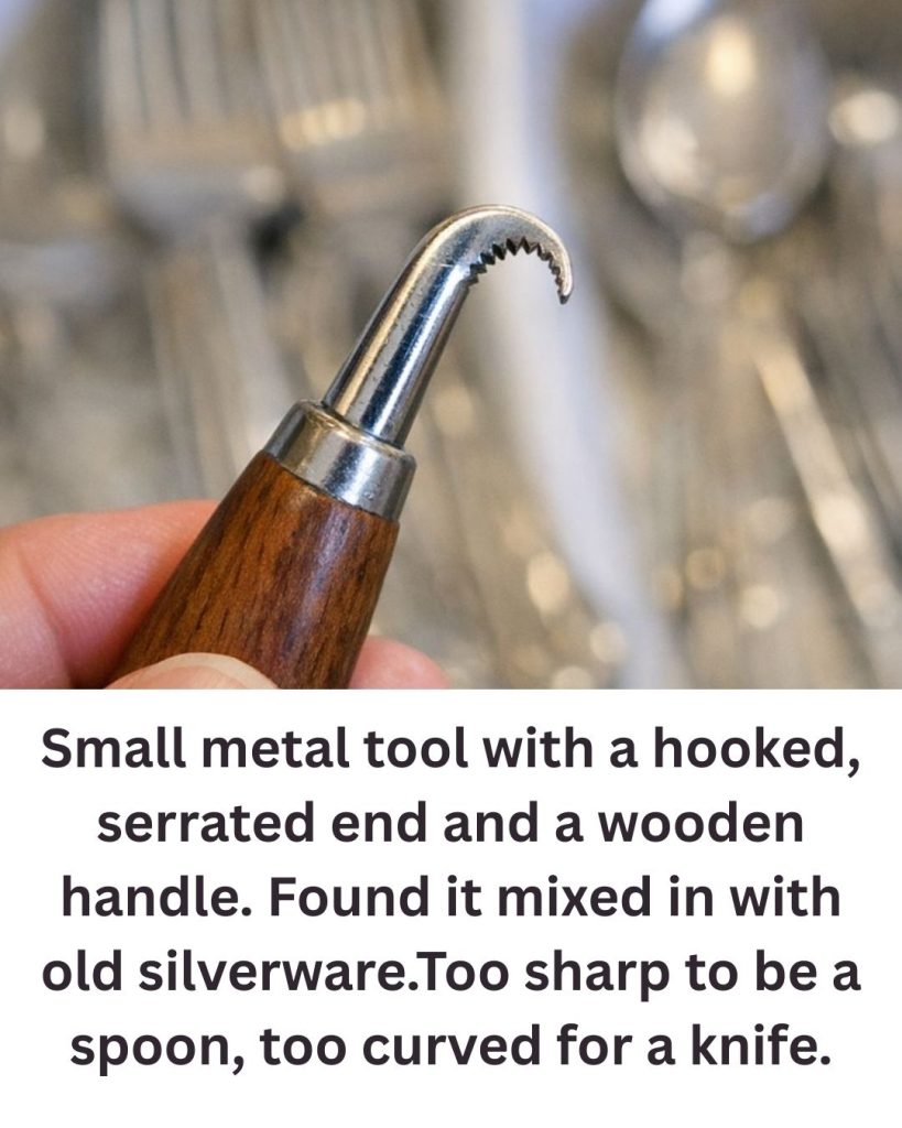 Small metal tool with a hooked, serrated end and a wooden handle