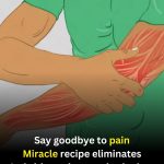 Thyme: A Fragrant Herb That May Support Immunity, Digestion, and Everyday Wellness