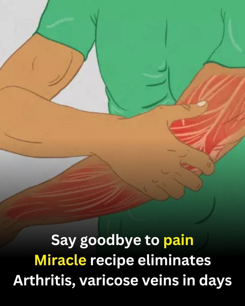 Thyme: A Fragrant Herb That May Support Immunity, Digestion, and Everyday Wellness