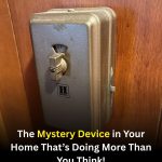 The Mystery Device in Your Home That’s Doing More Than You Think