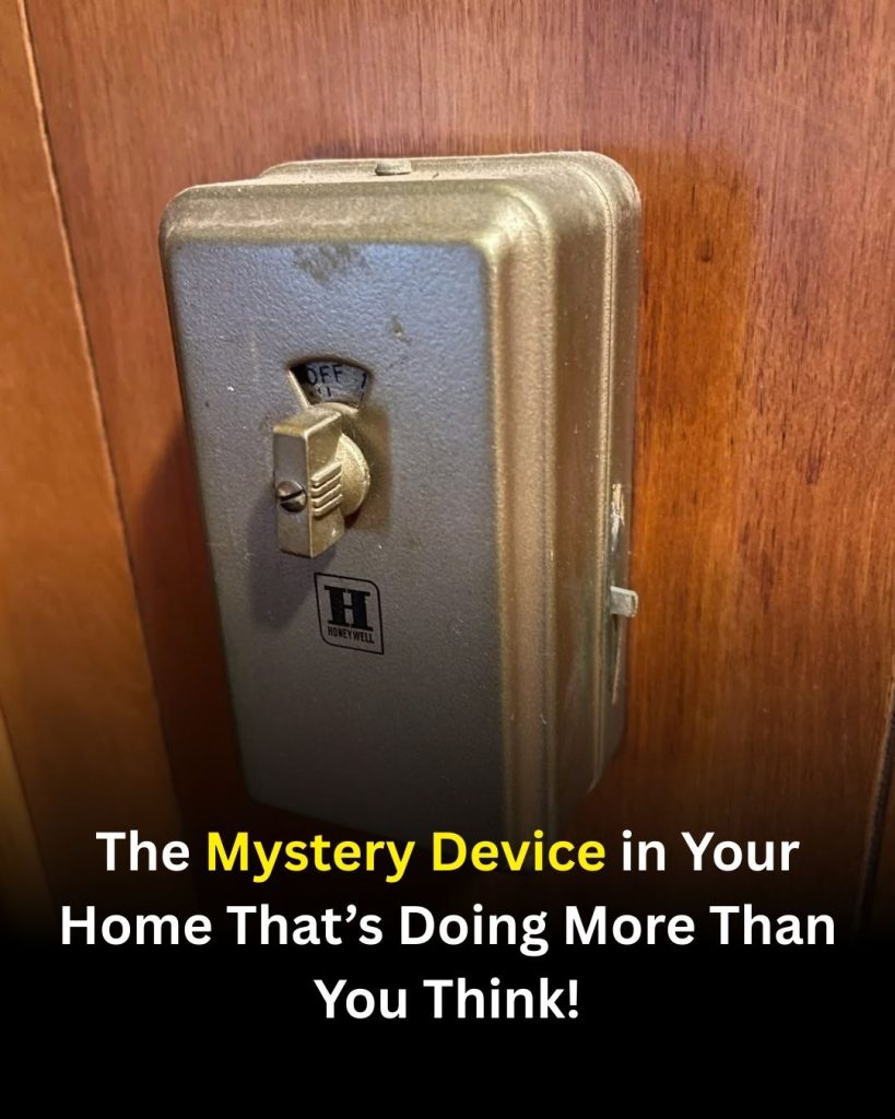 The Mystery Device in Your Home That’s Doing More Than You Think