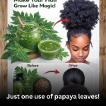 🌿 Papaya Leaves for Hair Growth: The Natural Elixir You’ve Been Overlooking