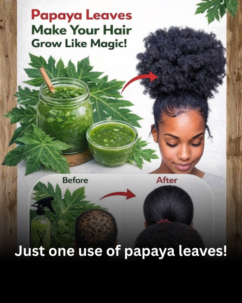 🌿 Papaya Leaves for Hair Growth: The Natural Elixir You’ve Been Overlooking