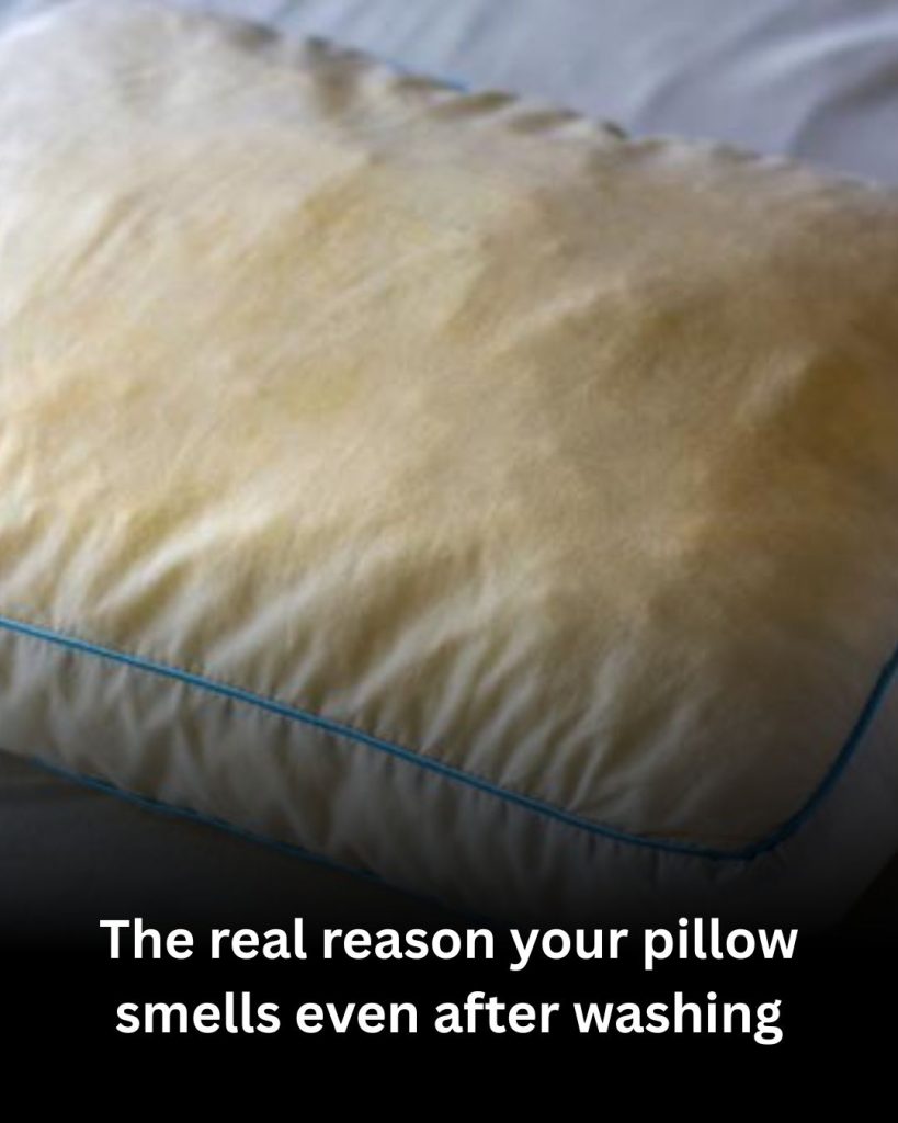 The Real Reason Your Pillow Smells Even After Washing