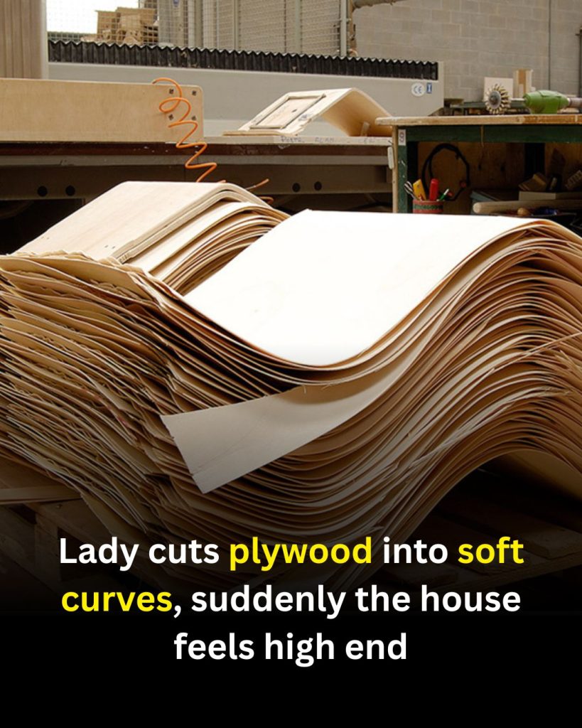 DIY Arched Doorway: How Soft Plywood Curves Can Elevate Your Space