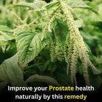 Prostate Health Matters: A Practical Reminder for Men’s Well-Being