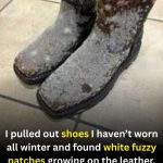 White Fuzzy Spots on Leather Shoes? What They Are and How to Handle Them