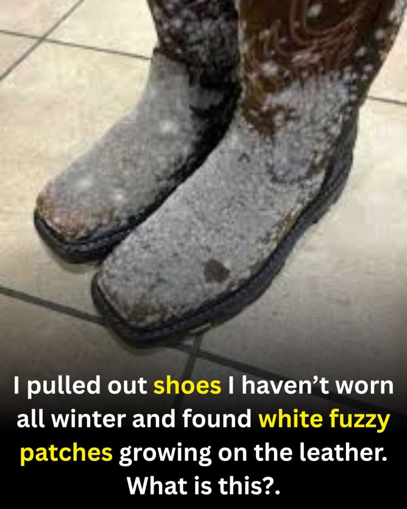 White Fuzzy Spots on Leather Shoes? What They Are and How to Handle Them