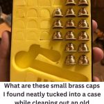 They Seem Simple, But These Tiny Laser Caps Created Magical Light Shows