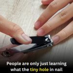 Many People Are Discovering the Purpose of the Tiny Hole in Nail Clippers