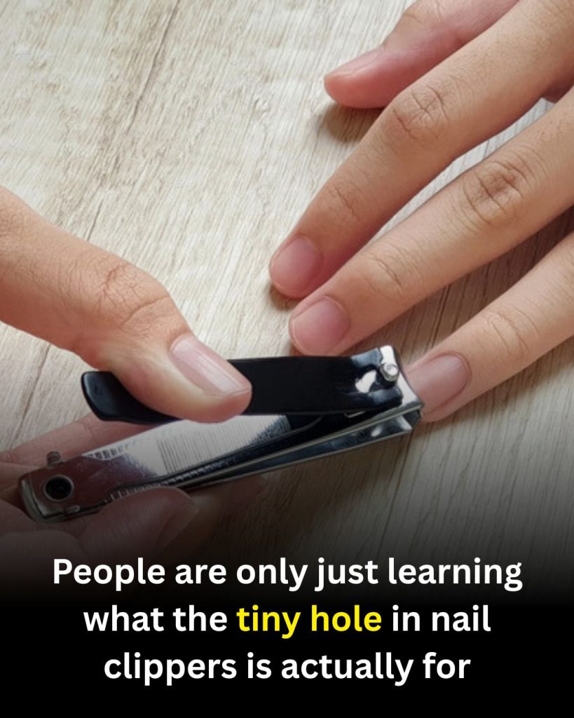 Many People Are Discovering the Purpose of the Tiny Hole in Nail Clippers