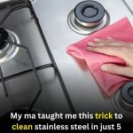 The 5-Minute Trick to Make Stainless Steel Shine Like New